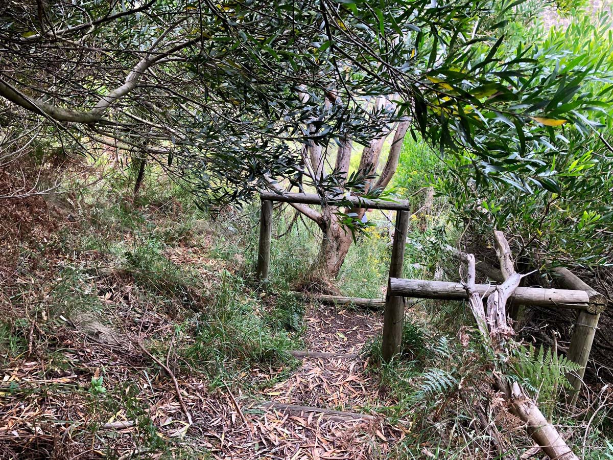 Mount schank crater rim walk 16
