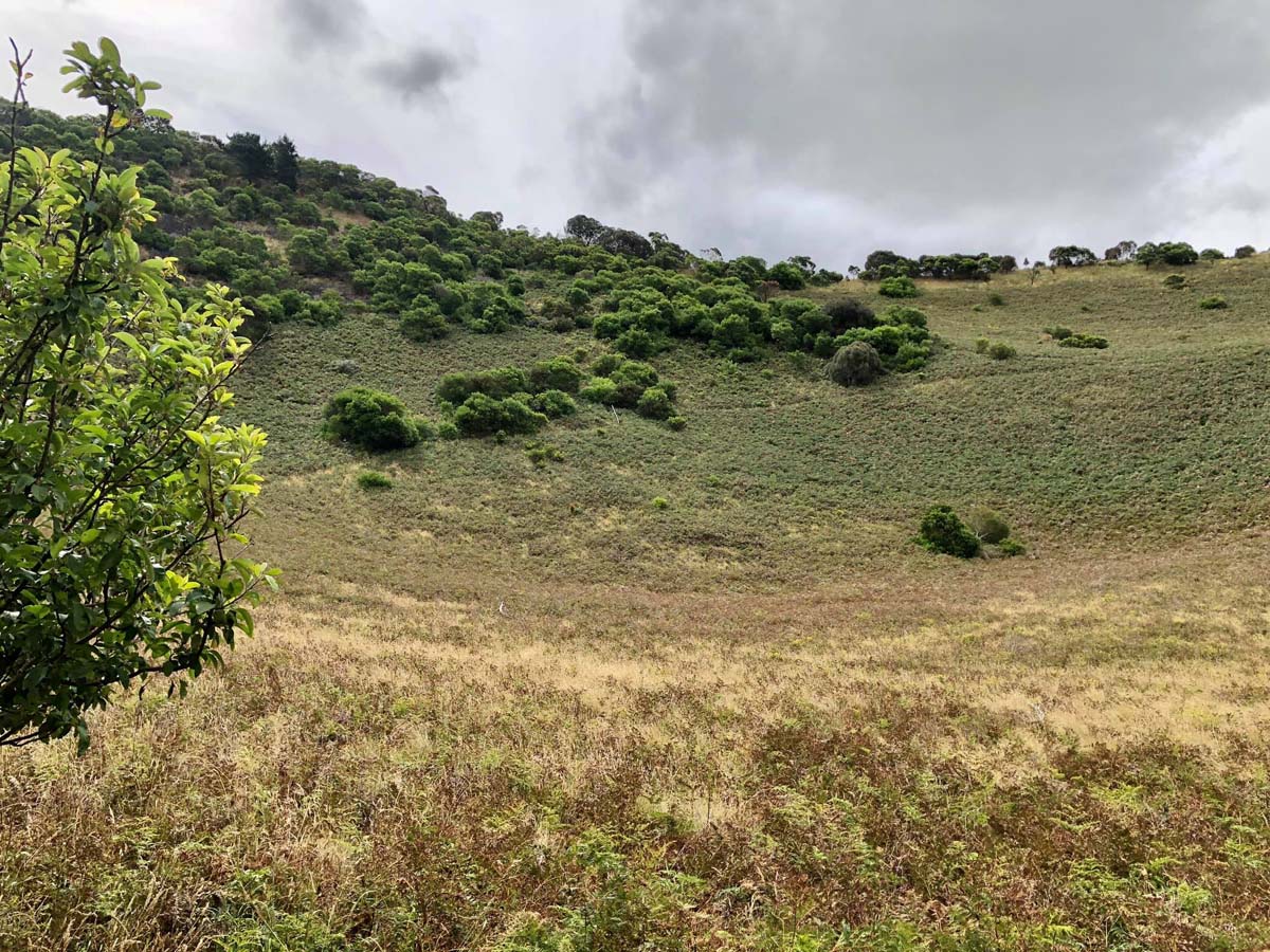 Mount schank crater rim walk 2