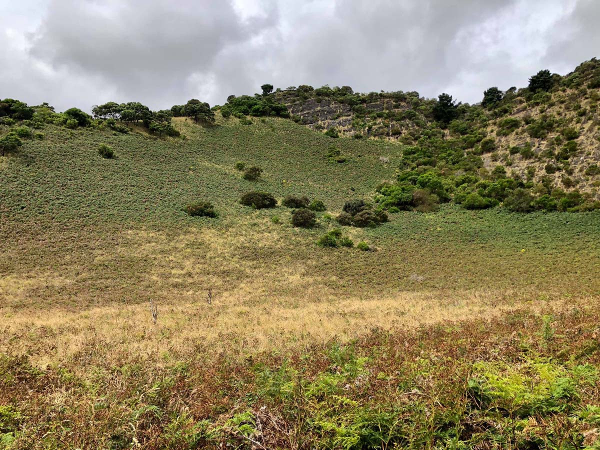 Mount schank crater rim walk 3