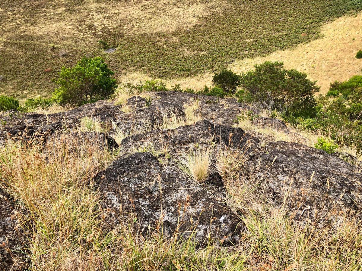 Mount schank crater rim walk 6