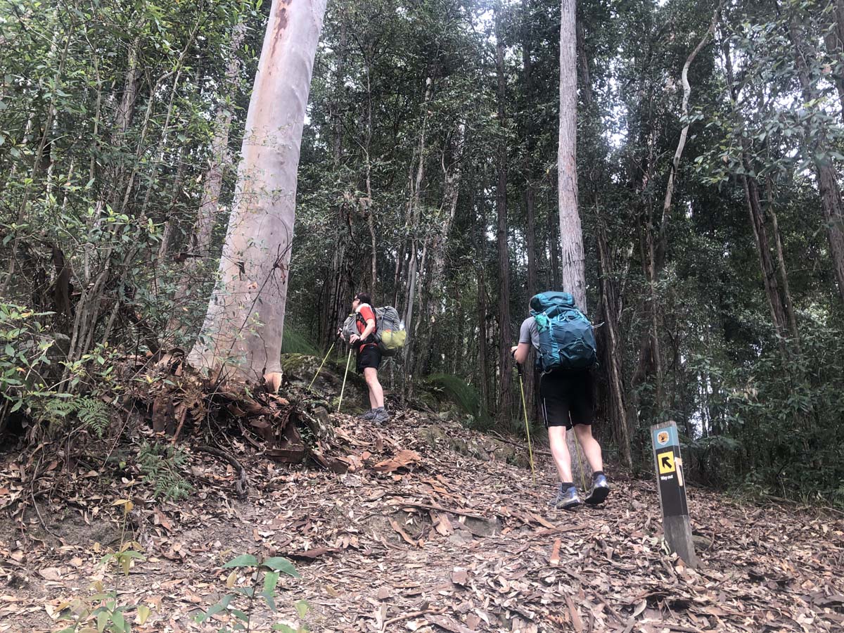 Mount solitary walking track circuit 102