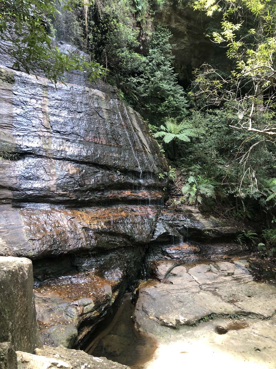 Mount solitary walking track circuit 11