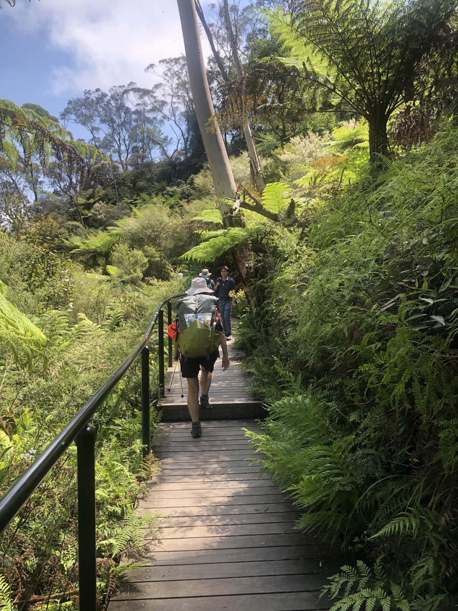 Mount solitary walking track circuit 116