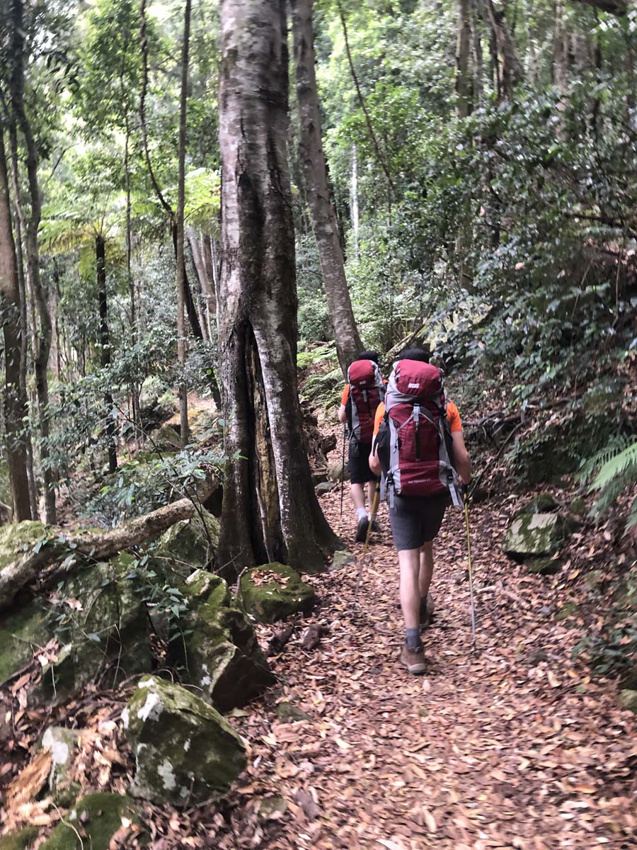 Mount solitary walking track circuit 21