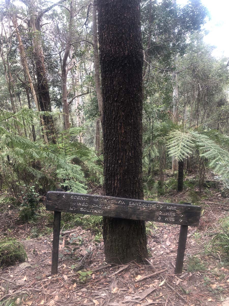 Mount solitary walking track circuit 22