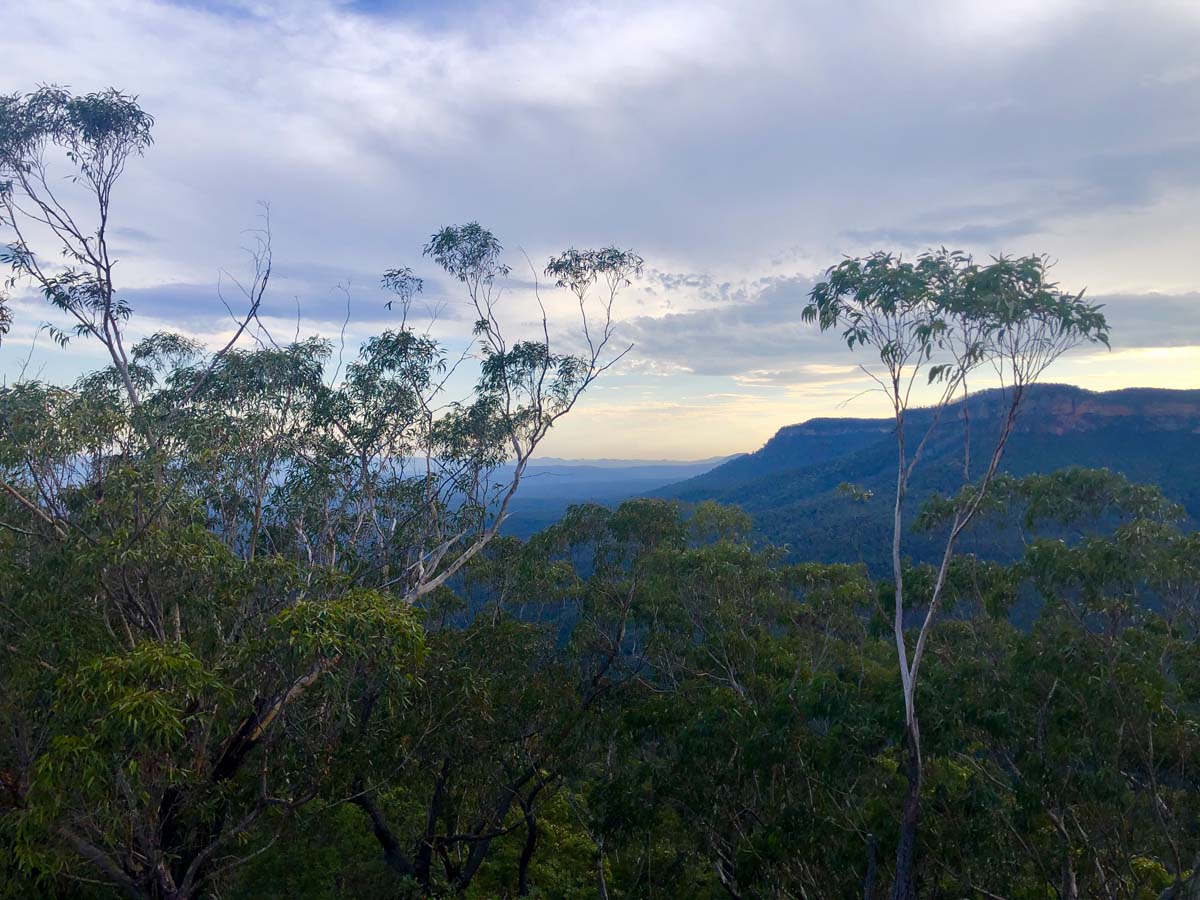 Mount solitary walking track circuit 29
