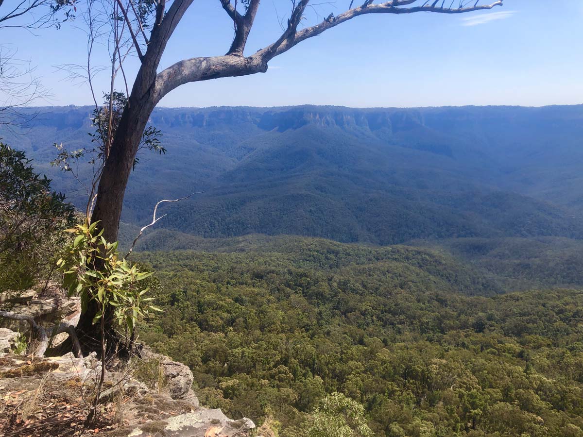 Mount solitary walking track circuit 83