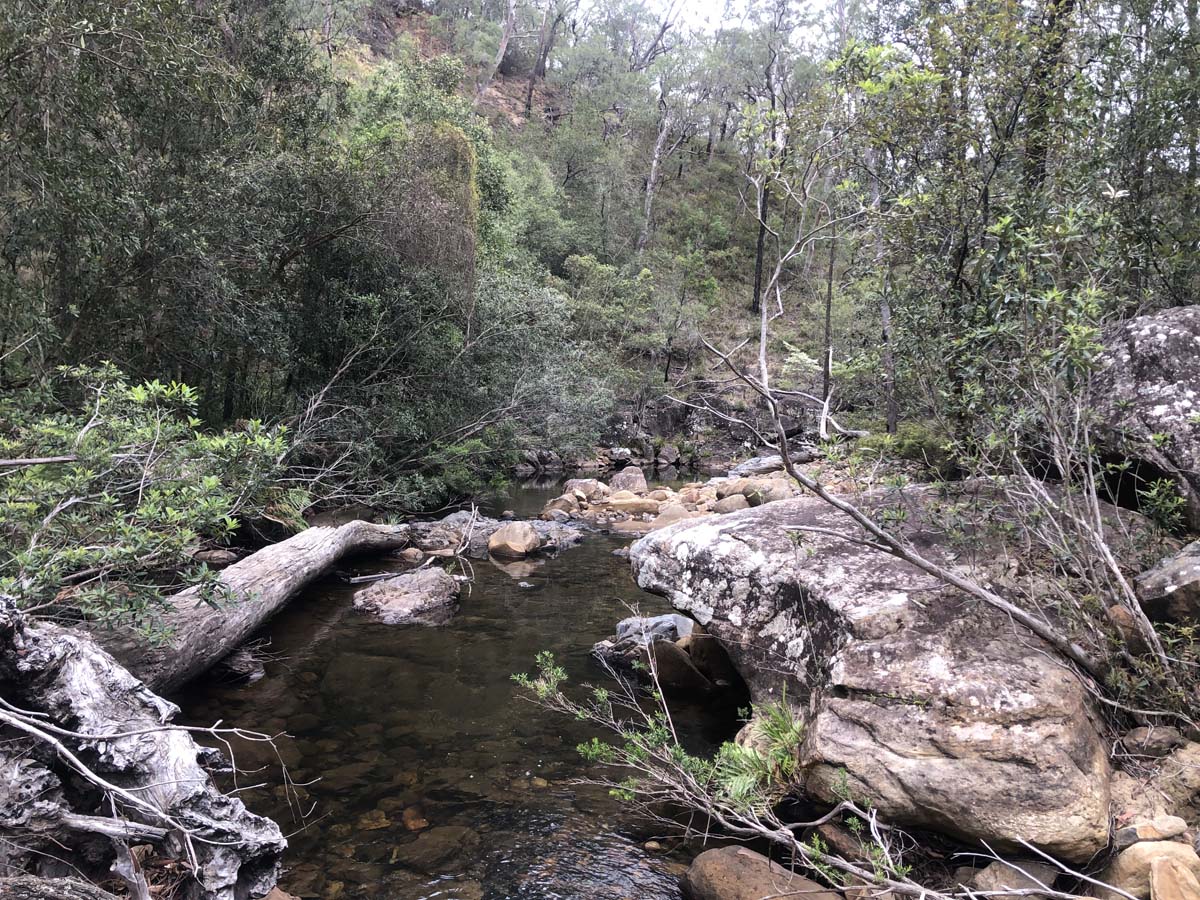 Mount solitary walking track circuit 97