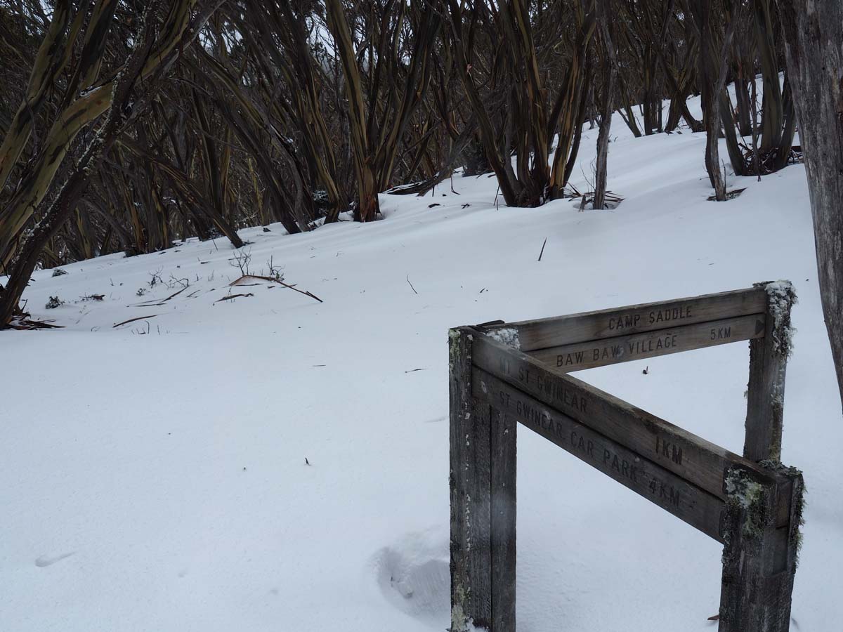 Mount st gwinear hike 14