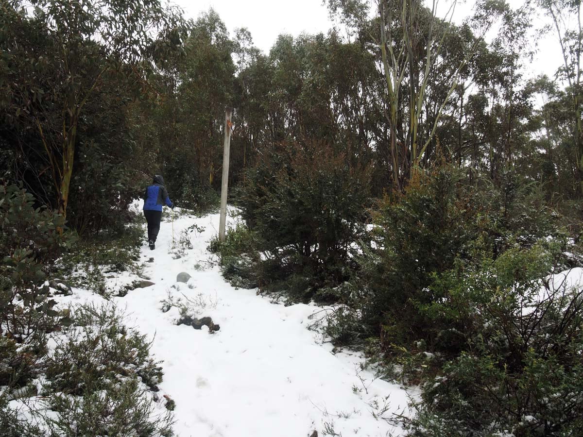 Mount st gwinear hike 2