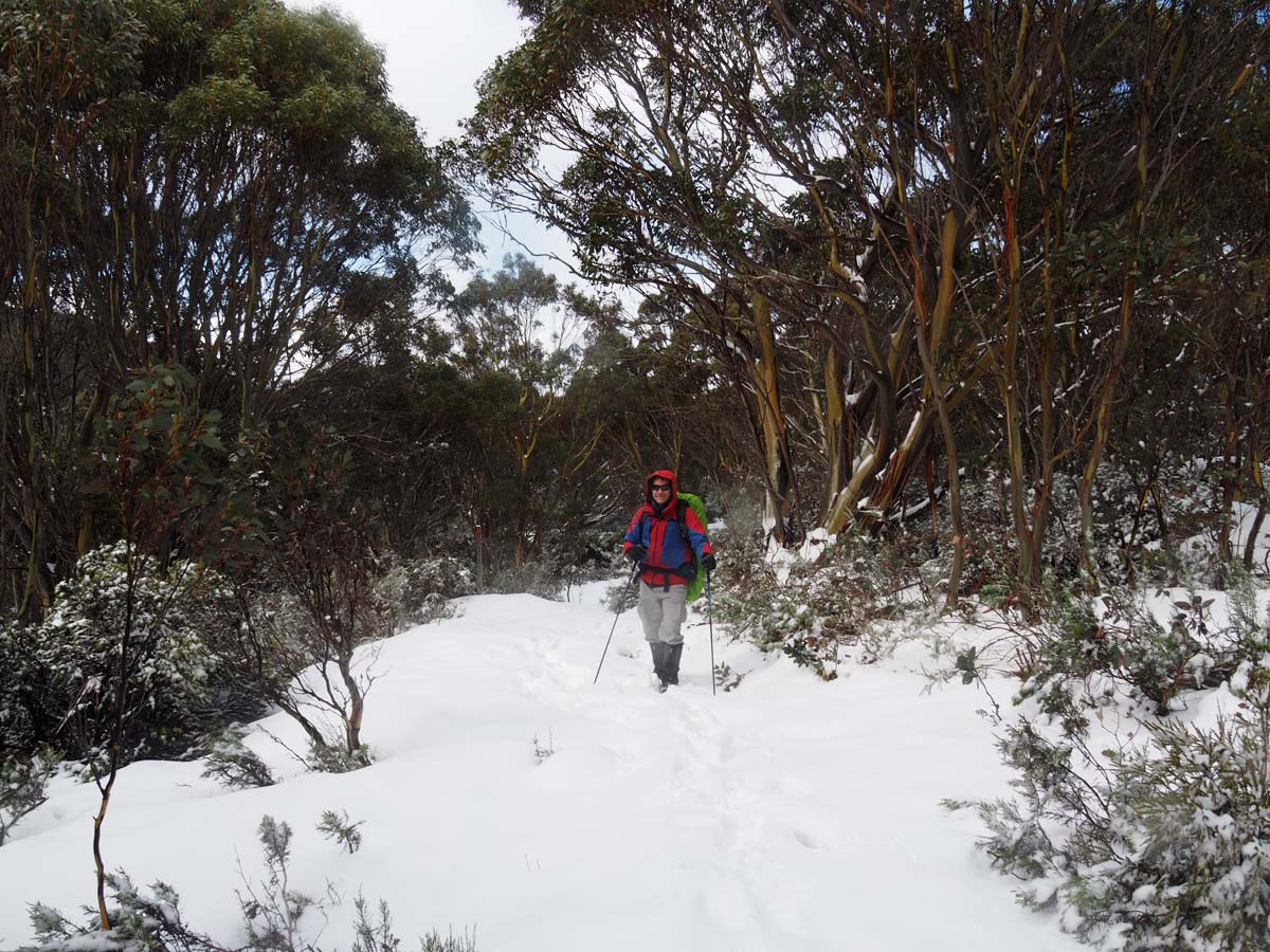 Mount st gwinear hike 21