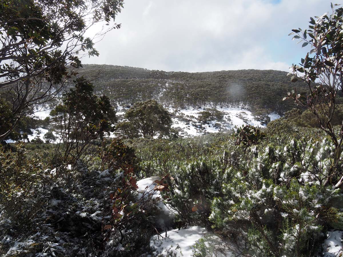 Mount st gwinear hike 22