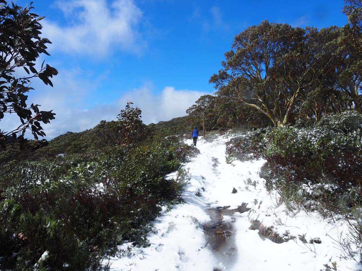 Mount st gwinear hike 23