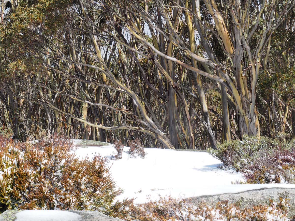 Mount st gwinear hike 25