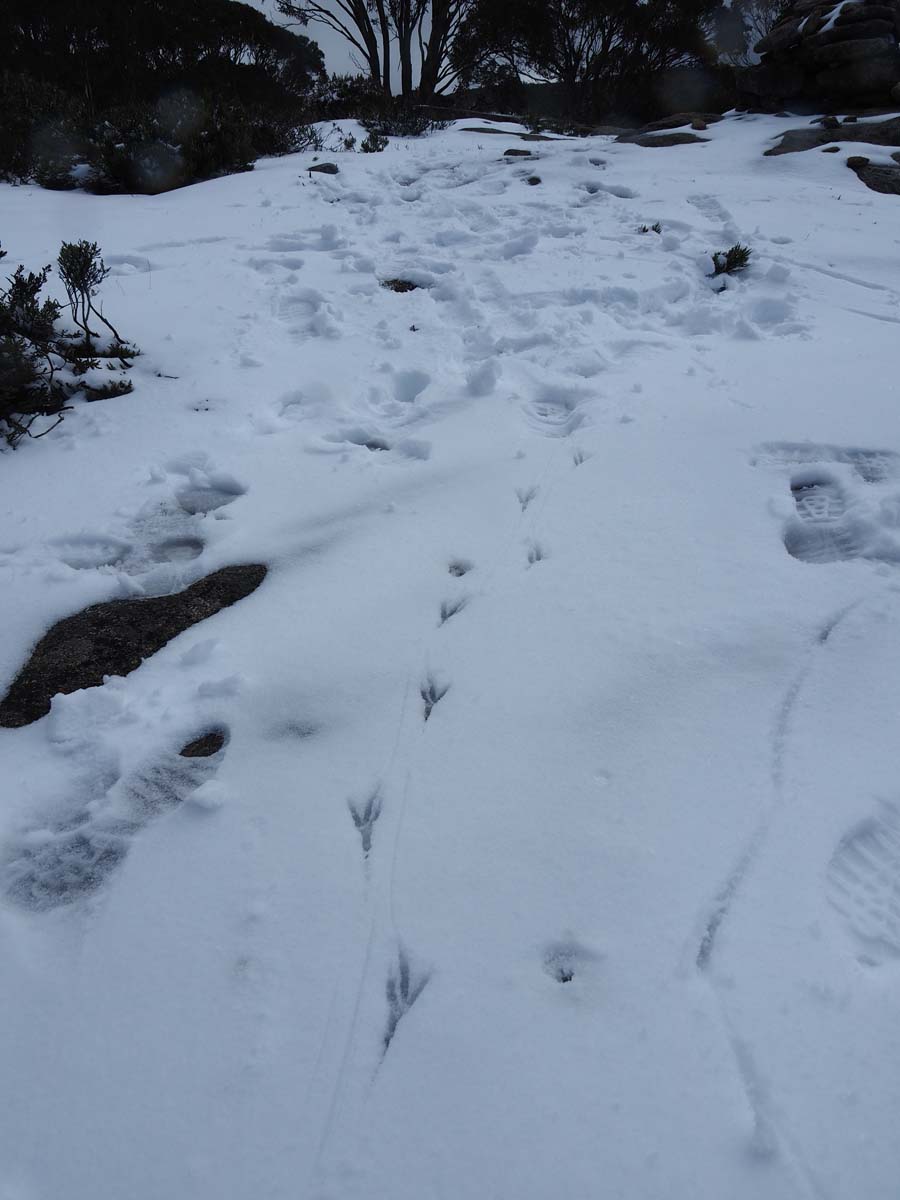 Mount st gwinear hike 27