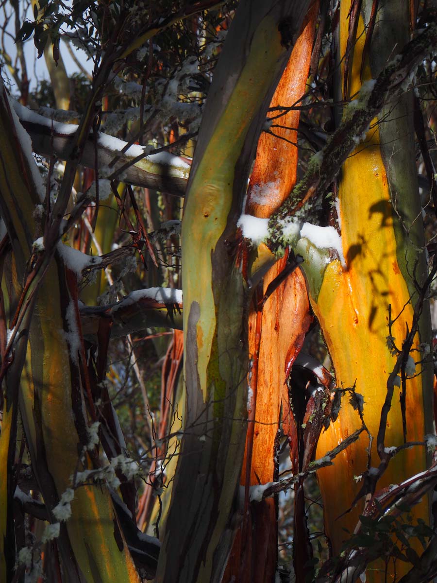 Mount st gwinear hike 30