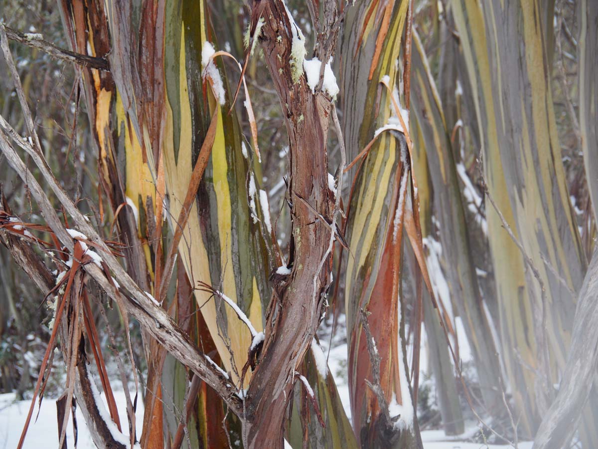 Mount st gwinear hike 31