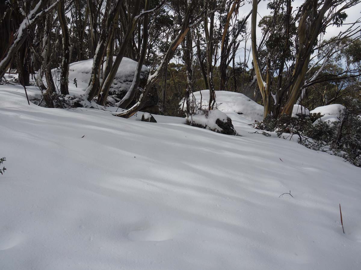 Mount st gwinear hike 32