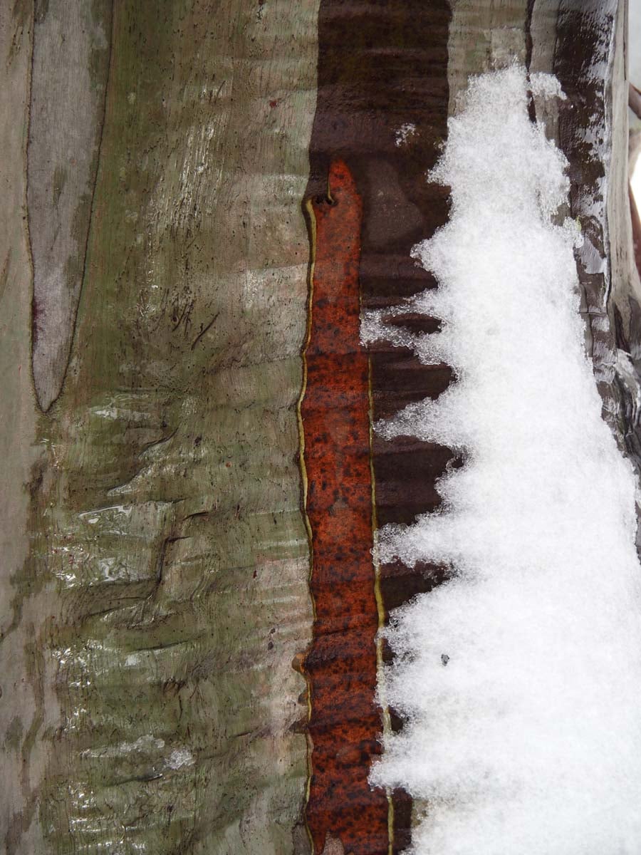 Mount st gwinear hike 33