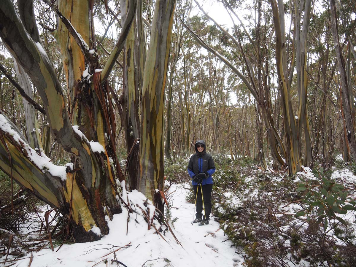 Mount st gwinear hike 36