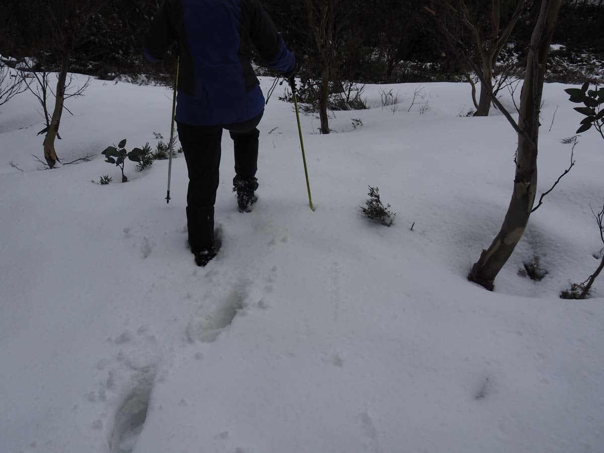 Mount st gwinear hike 38