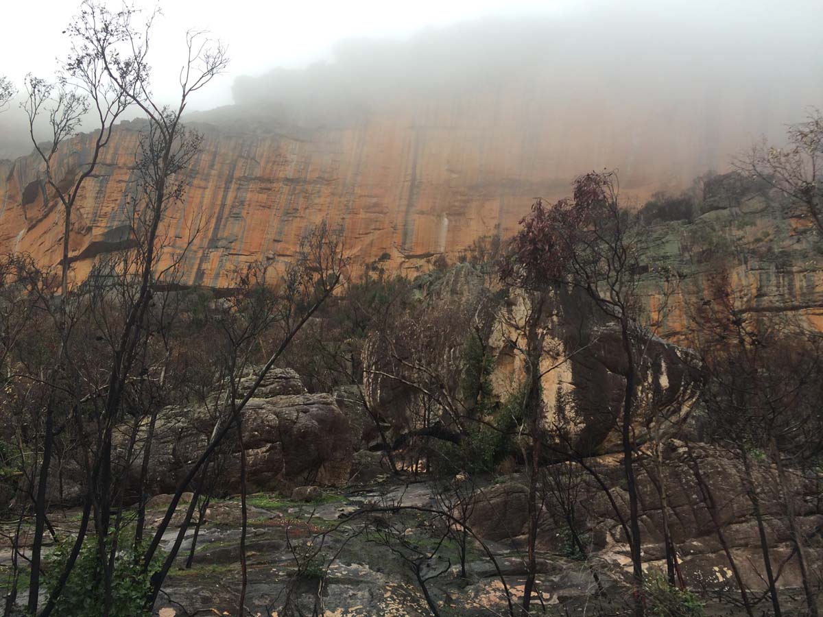 Mount stapylton walk 1