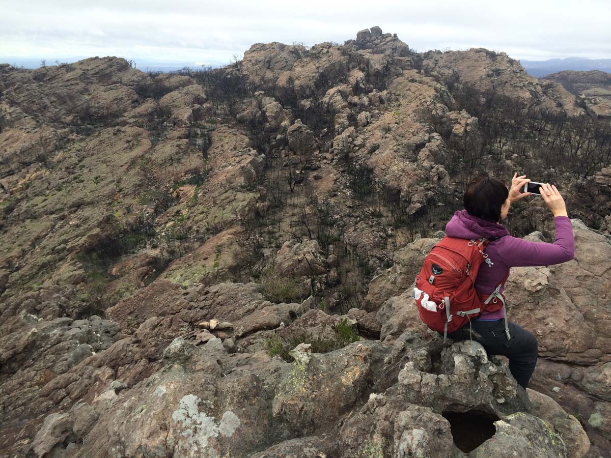 Mount stapylton walk 10