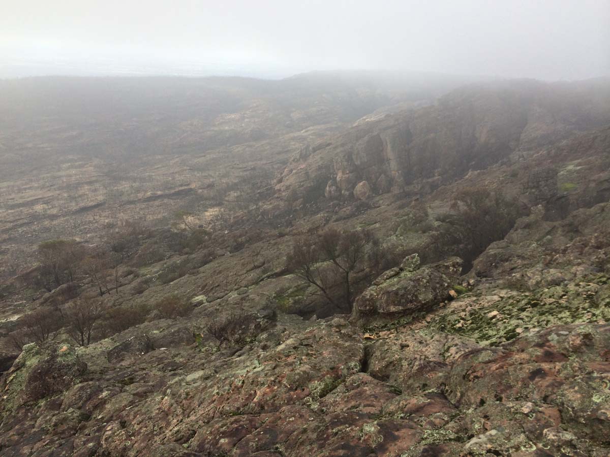 Mount stapylton walk 4