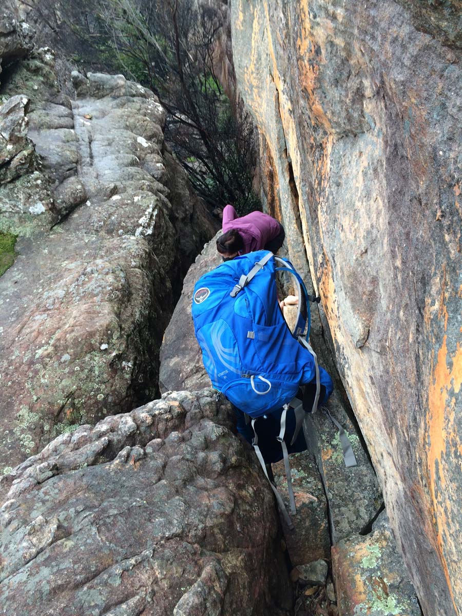 Mount stapylton walk 8