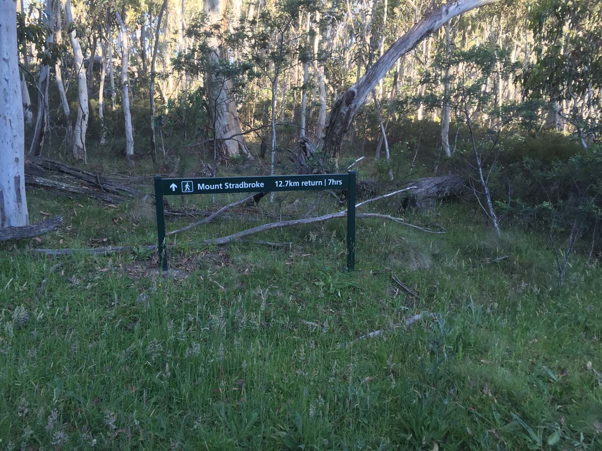 Mount stradbroke track 1