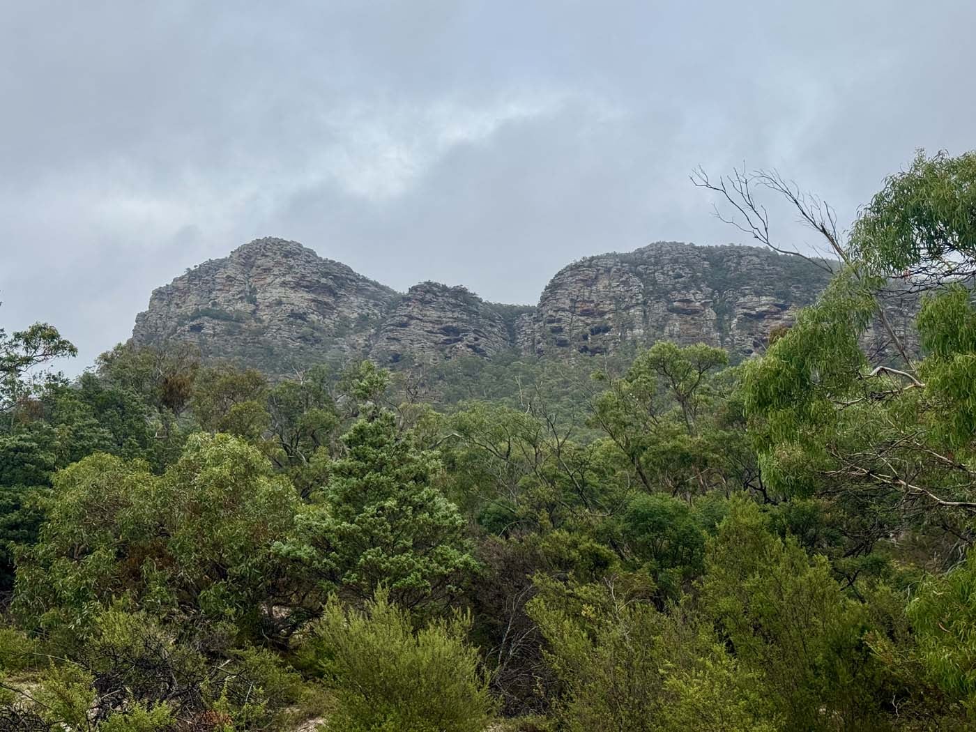 Mount sturgeon (1)