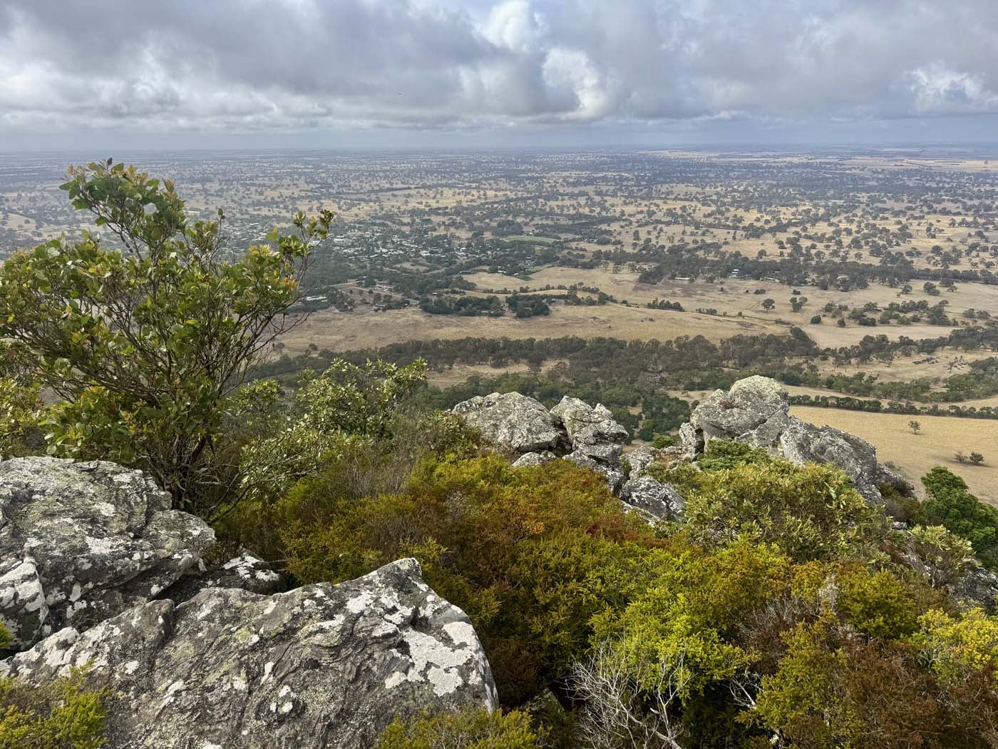 Mount sturgeon (10)