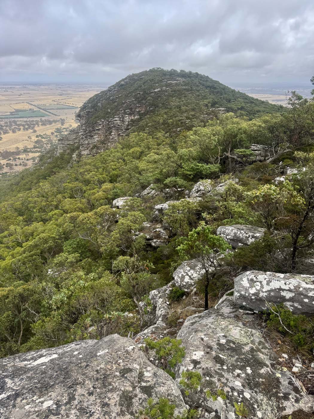 Mount sturgeon (12)