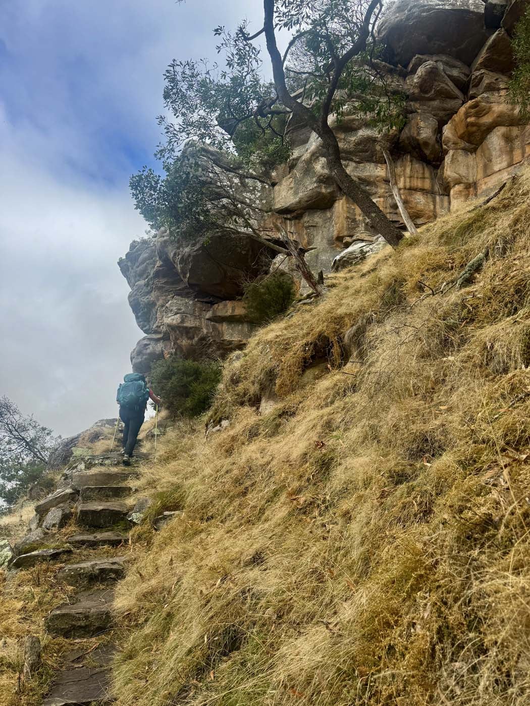 Mount sturgeon (17)