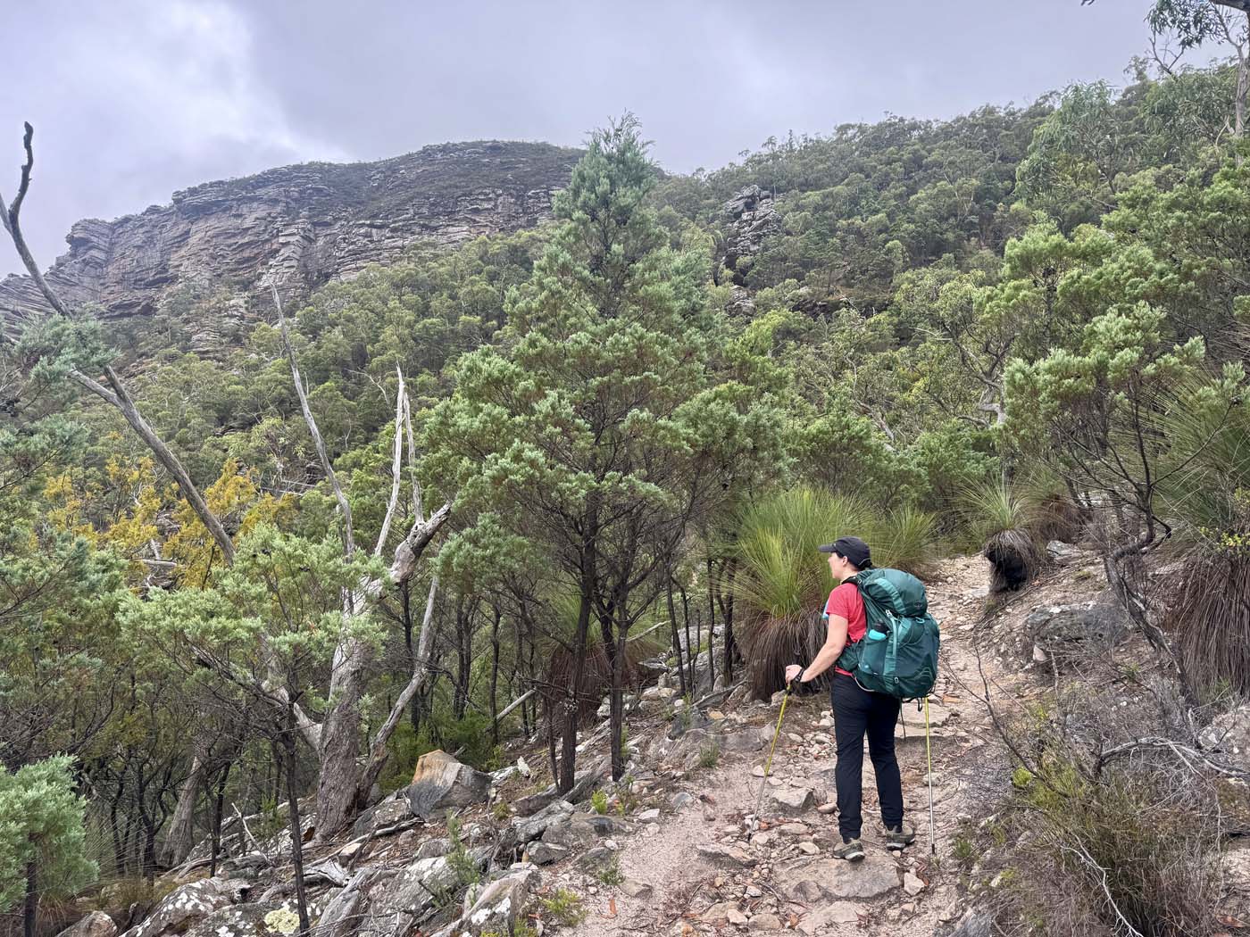 Mount sturgeon (19)