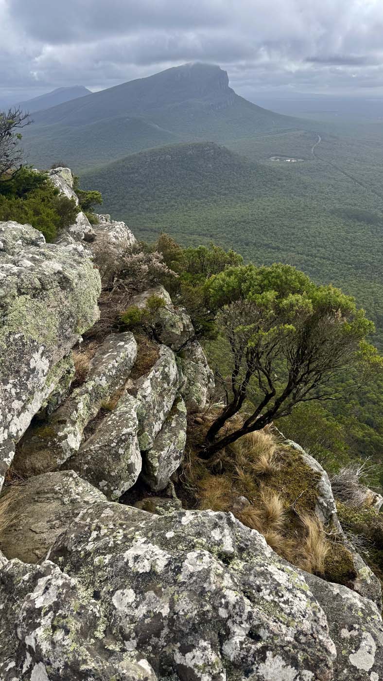 Mount sturgeon (9)