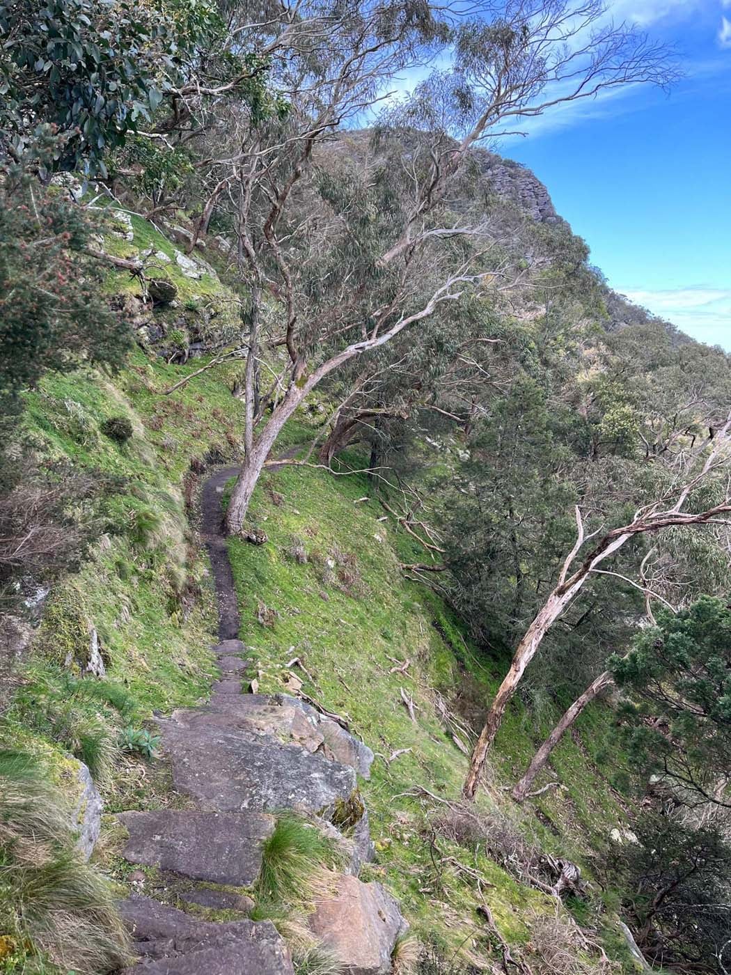 Mount sturgeon hike 5
