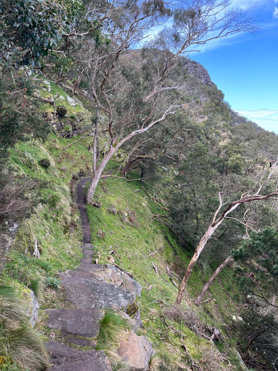 Mount sturgeon hike 1