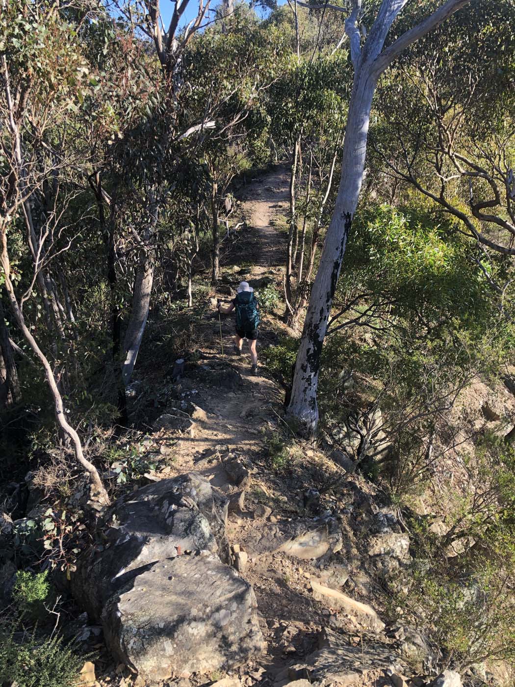 Mount sugarloaf loop walk (1)