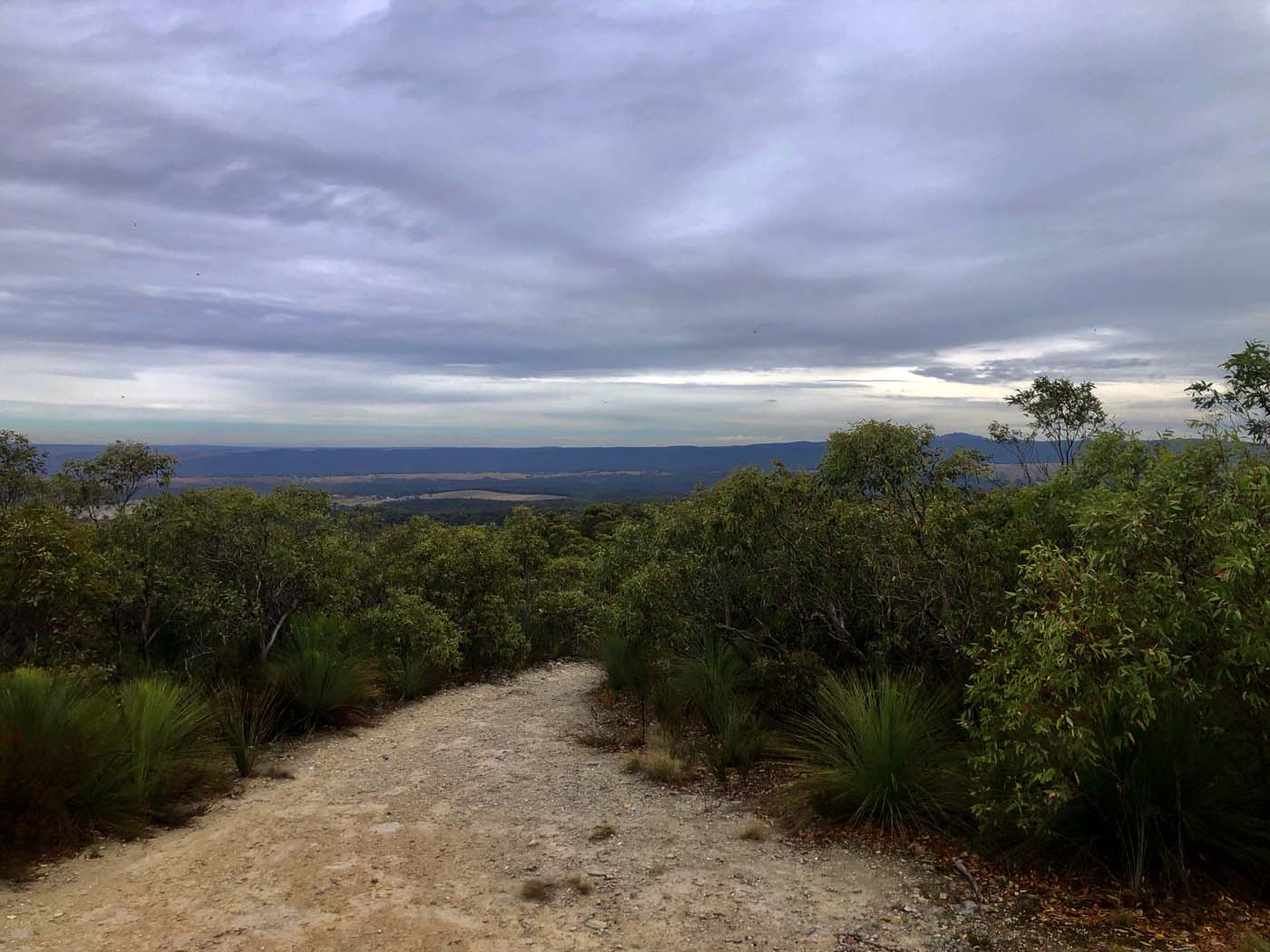 Mount sugarloaf loop walk (9)