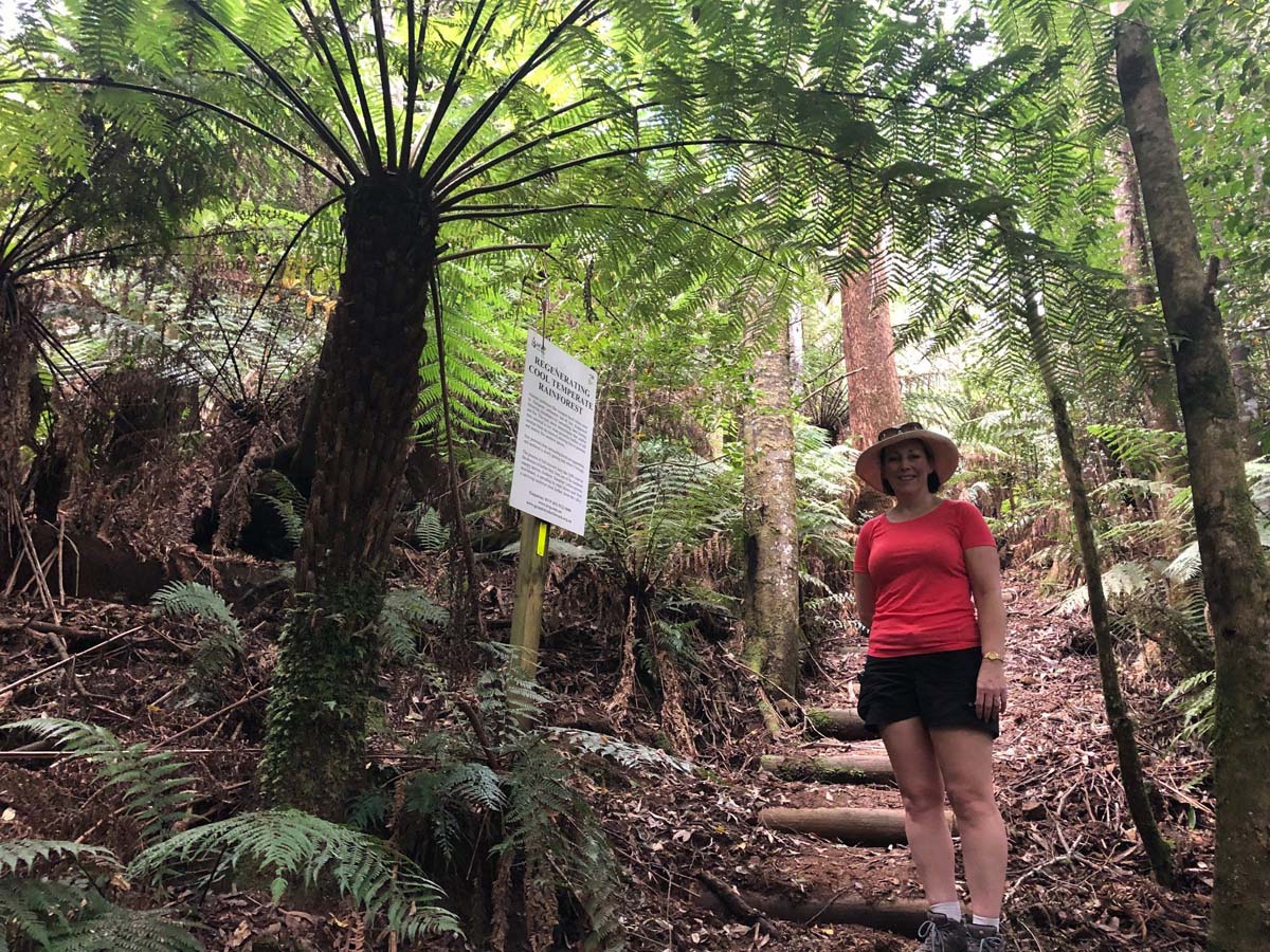 Mount tassie loop hike 11