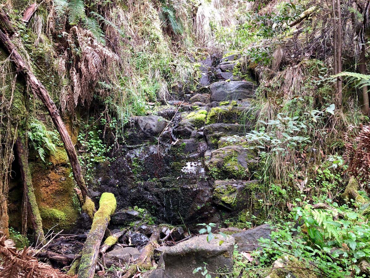 Mount tassie loop hike 15