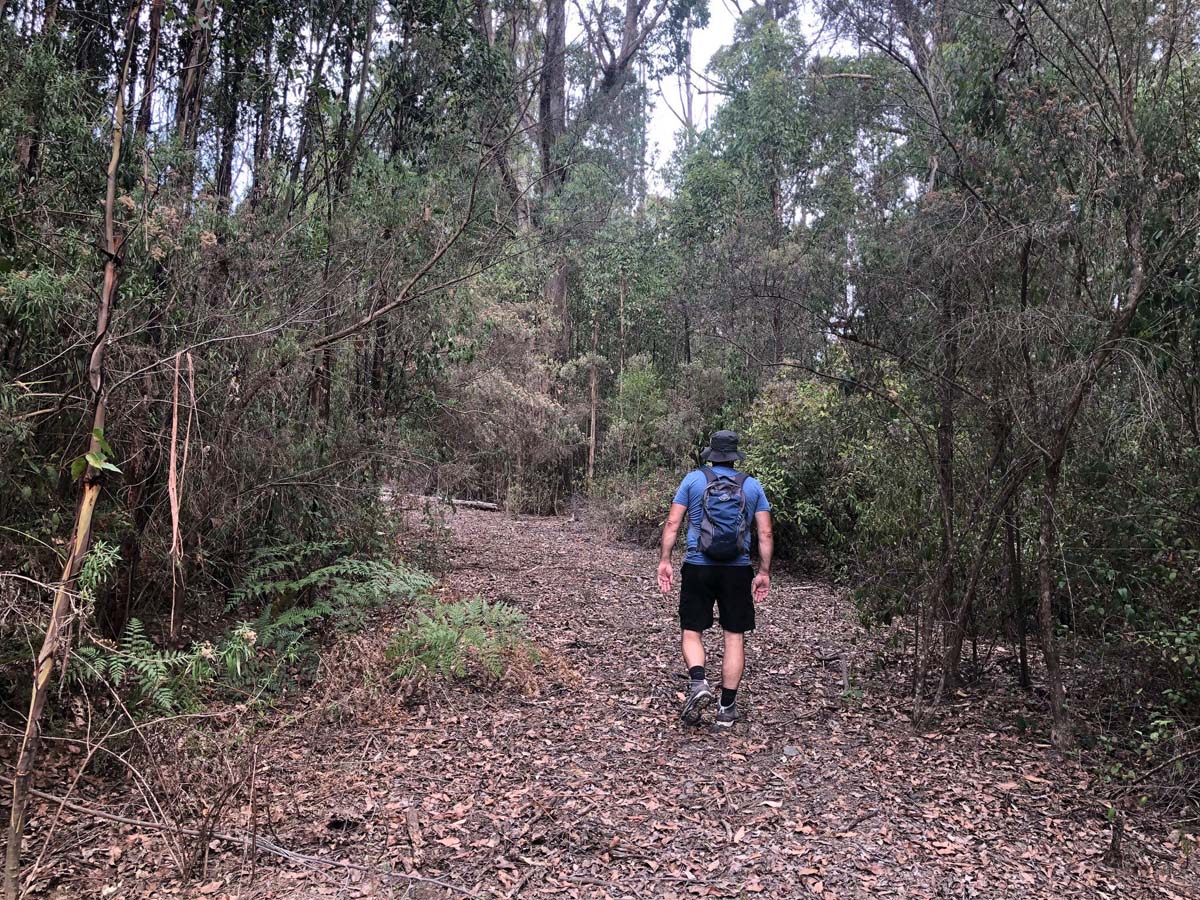 Mount tassie loop hike 16