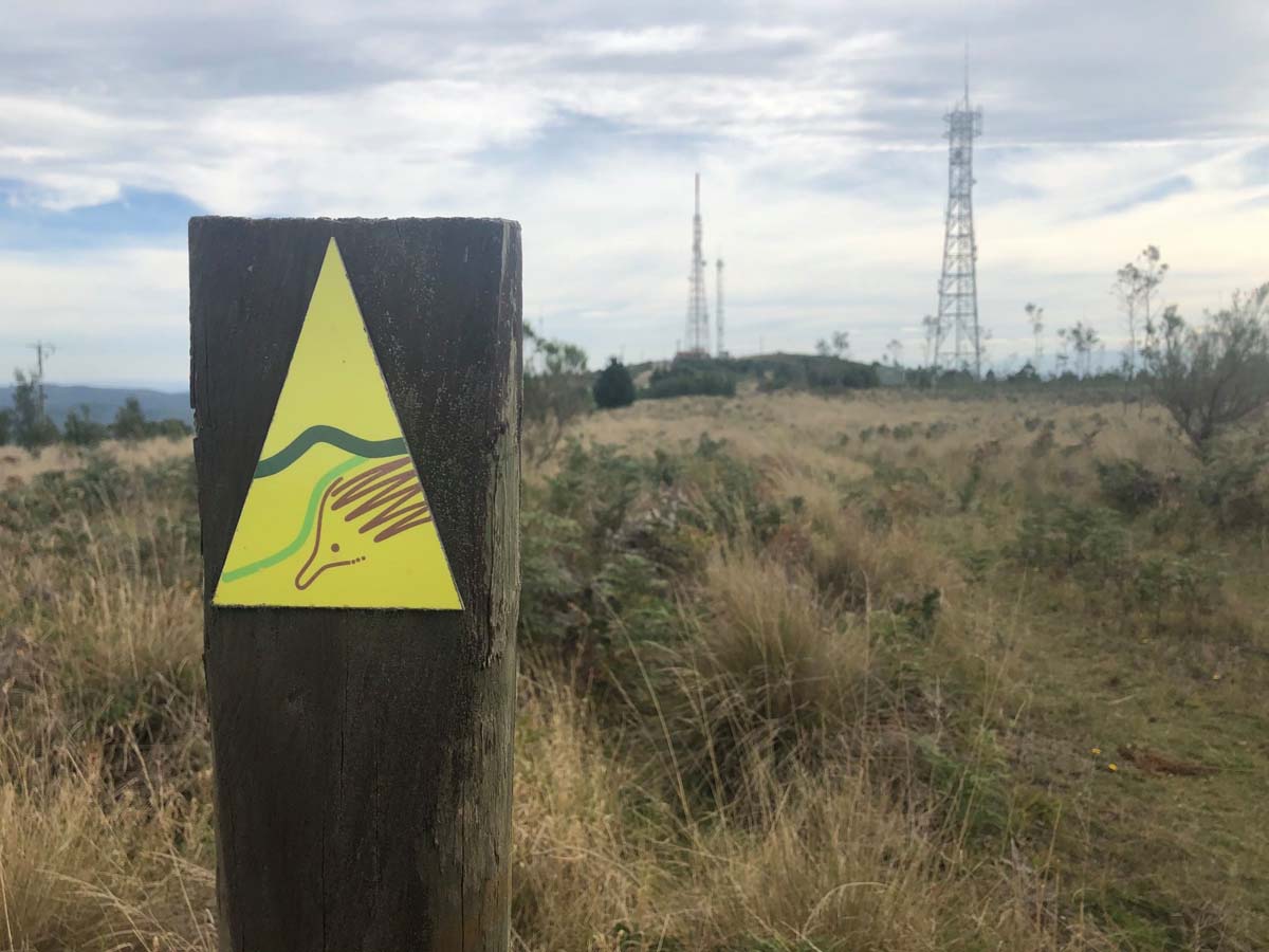 Mount tassie loop hike 18