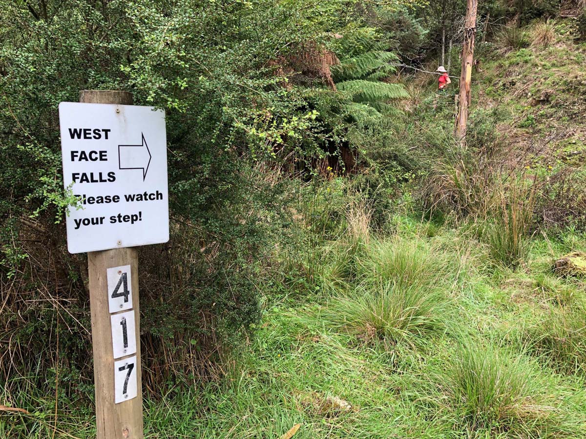 Mount tassie loop hike 19
