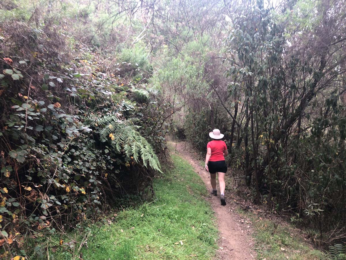 Mount tassie loop hike 23