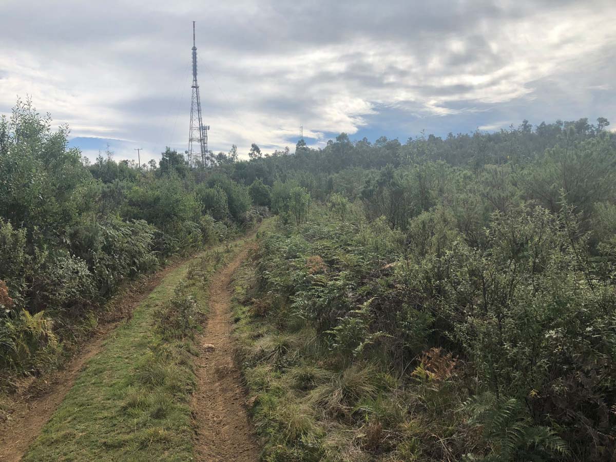 Mount tassie loop hike 24