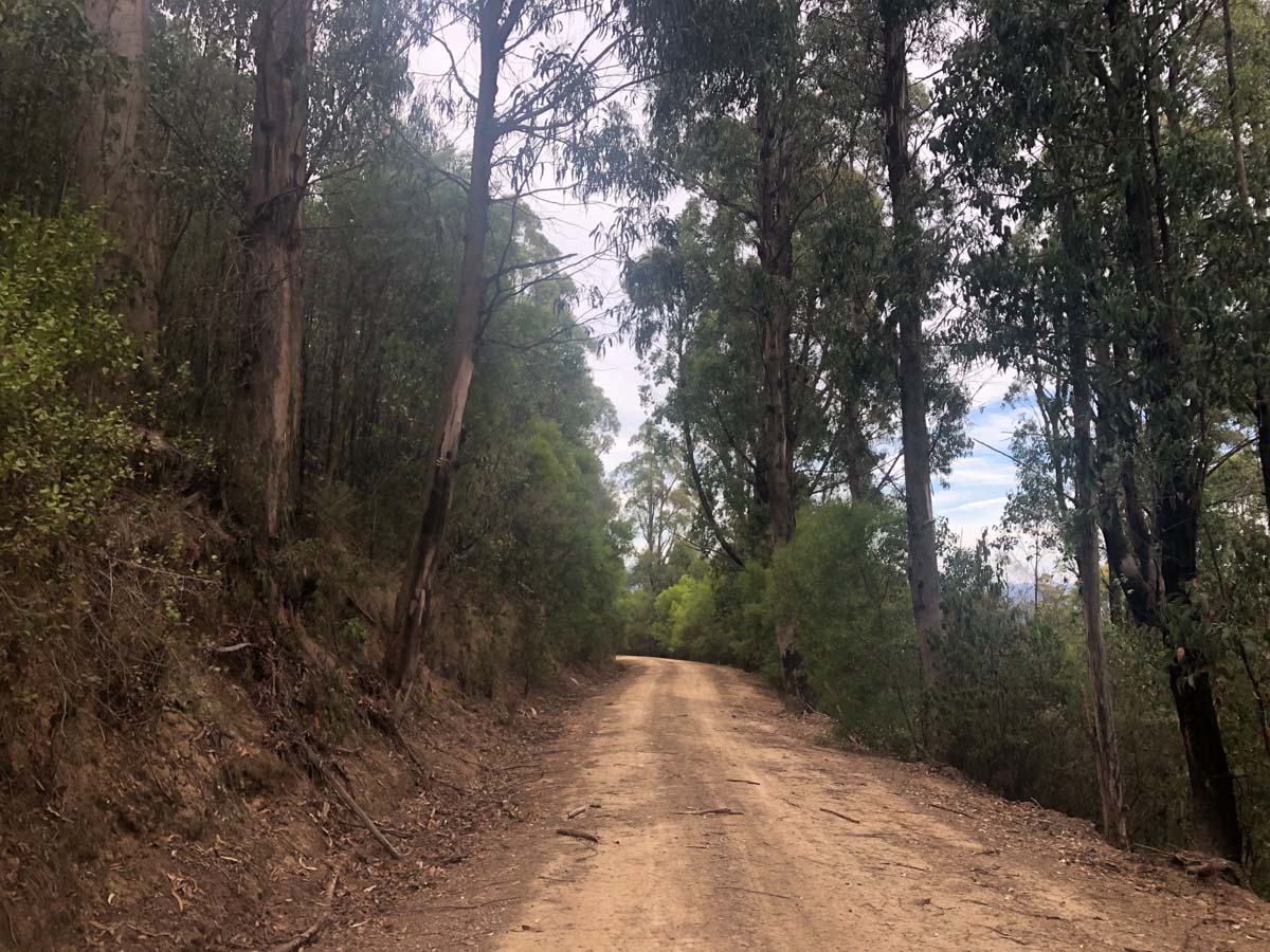 Mount tassie loop hike 27
