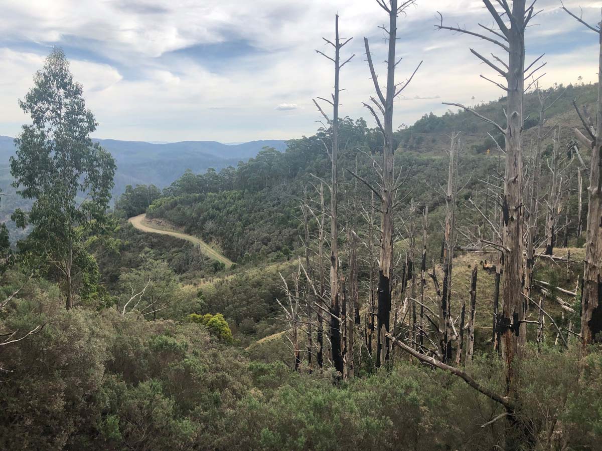 Mount tassie loop hike 30