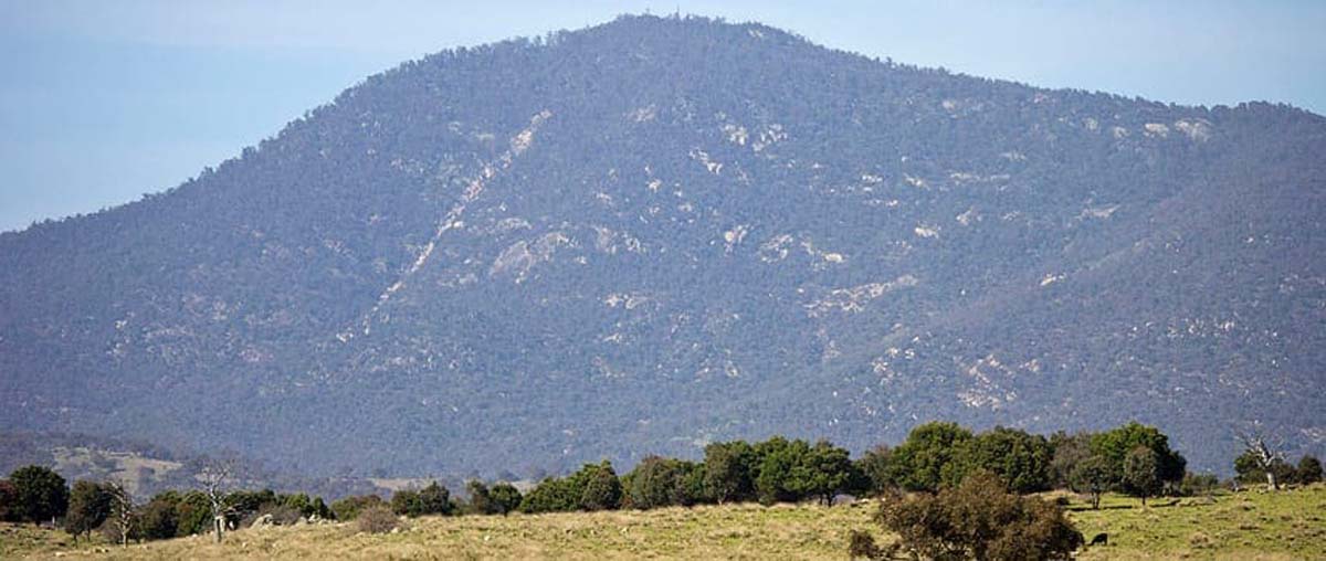 Mount tennent summit hike 1